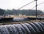 Operations Management 