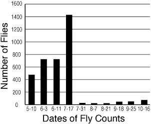 Graph comparing the number of midge flies to date of year